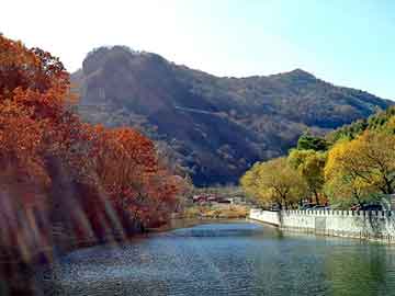 三肖三期必出特马，本田思域怎么样